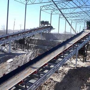 Foaming Conveyors