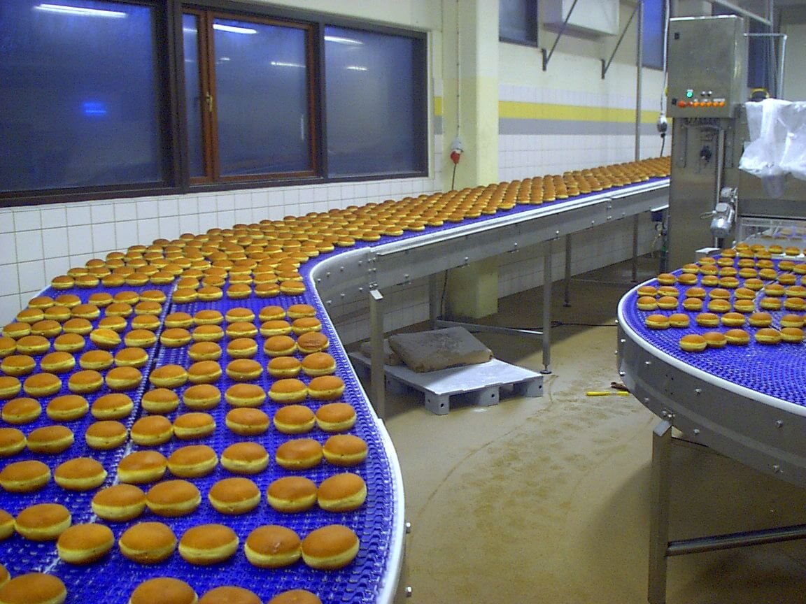Food Grade Conveyor Manufacturers in India